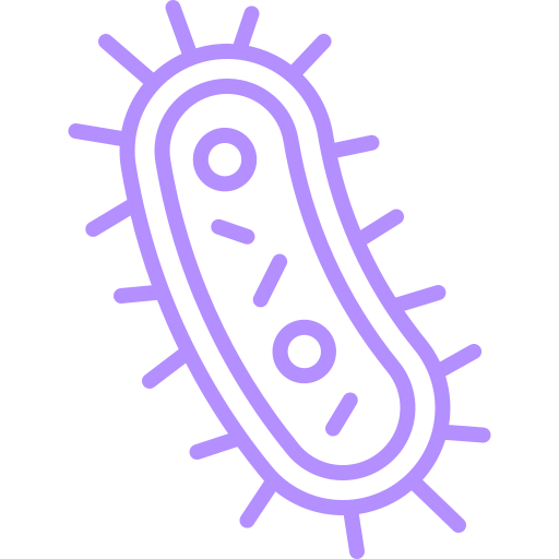 Bacteria Icon